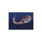 اتو بخار تفال مدل FV-6820 (اصل)