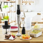 گوشت کوب برقی مولینکس مدل DD95J (اصل)