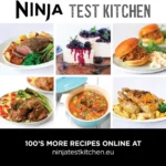 مولتی کوکر نینجا مدل NINJA Ol550 (اصل)