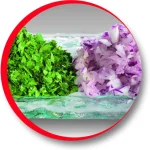 خرد کن مولینکس مدل AT711 (اصل)