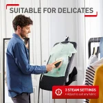 اتو بخارگر ایستاده تفال مدل Tefal Qt2020 (اصل)