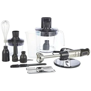 گوشت کوب برقی مولینکس مدل DD65J (اصل)