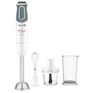 گوشت کوب برقی مولینکس مدل DD643 (اصل)