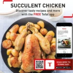 سرخ کن تفال مدل TEFAL-FW5018 (اورجینال)